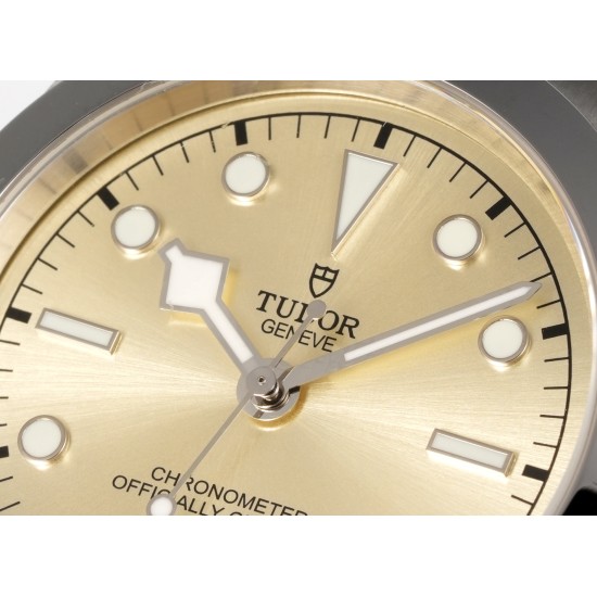 Tudor-Heritage Tudor-Black Bay 41 SS/SS Gold Dial 3TF Asia 2824 Automatic