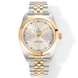 Tudor-Heritage Tudor-Black Bay 41 YG/SS Silver Dial 3TF Asia 2824 Automatic