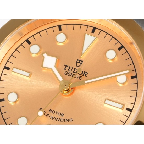 Tudor-Heritage Tudor-Black Bay 41 YG/SS Gold Dial 3TF Asia 2824 Automatic