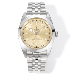 Tudor-Heritage Tudor-Black Bay 41 SS/SS Gold Dial 3TF Asia 2824 Automatic