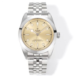 Tudor-Heritage Tudor-Black Bay 41 SS/SS Gold Dial 3TF Asia 2824 Automatic