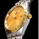 Tudor-Royal Day-Date 41mm SS/YG Gold/Rmn V7F A2824