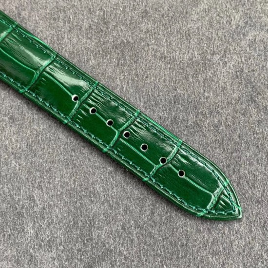 Patek Philippe - Celestial Sky Moon Date  42mm RG/LE Green Dial TZF A240