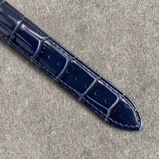 Patek Philippe - Celestial Sky Moon Date 42mm SS/LE Blue Dial TZF A240