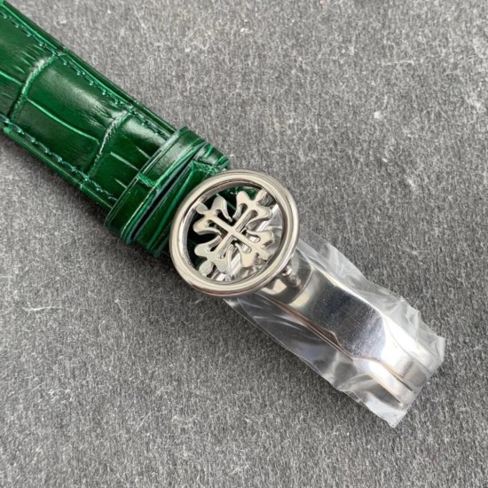 Patek Philippe - Celestial Sky Moon Date 42mm SS/LE Green Dial TZF A240