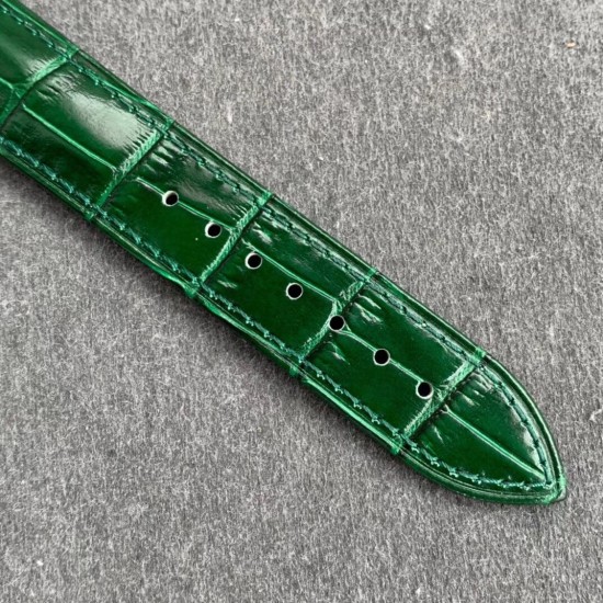 Patek Philippe - Celestial Sky Moon Date 42mm SS/LE Green Dial TZF A240