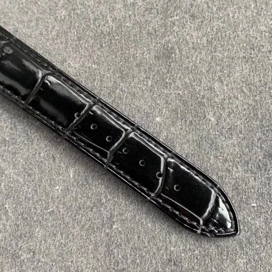 Patek Philippe - Celestial Sky Moon Date 42mm SS/LE Black Dial TZF A240