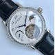 Patek Philippe - Complication Series MoonPhase 42mm Diamonds SS/LE White Dial Asia Tourbillon
