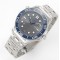 Omega-Seamaster 300m 42mm SS/SS Grey VSF V2 A8800