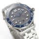 Omega-Seamaster 300m 42mm SS/SS Grey VSF V2 A8800