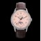 Patek Philippe - Annual Cal. Moonphase Ref.5320G-001 40mm SS/LE Pink/Num GRF A324