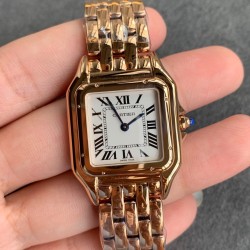 Cartier-Panthere Secrete De 27mm Ladies RG/RG GF Swiss Quartz