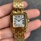 Cartier-Panthere Secrete De 27mm Ladies YG/YG GF Swiss Quartz