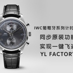 IWC-Da Vinci Chrono Laureus Ed IW393402 SS/LE Grey Dial YLF Asia 89361