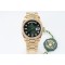 Rolex-DayDate 36mm Dia Pres YG/YG Green Diam EWF A3255 Mod