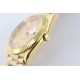 Rolex-DayDate 228238 40mm YG/YG Gold Dial STK TWS A2836